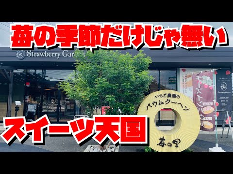 【埼玉グルメ】毛呂山町の行列店✨苺の季節は大行列💦でもオフシーズンも美味しいスイーツ揃ってま〜す😃