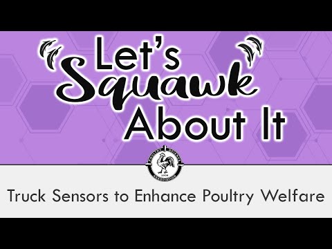 Let’s Squawk About It (S4 E1): Enhancing Poultry Welfare Monitoring Through Truck Sensors