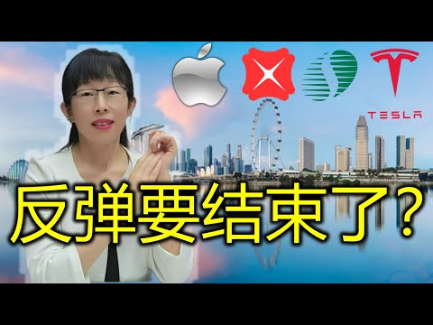 股票买卖 | 反弹结束了？#AAPL#TSLA#DBS#股票#投资#理财