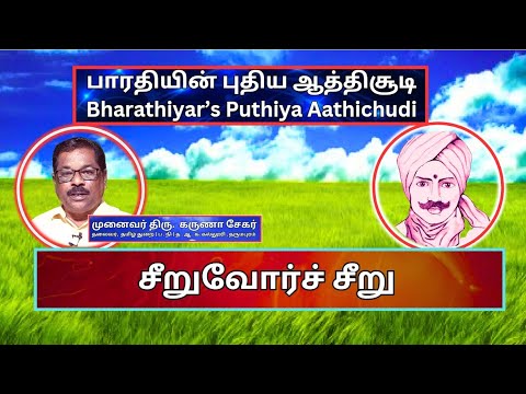 சீறுவோர்ச் சீறு, பாரதியின் புதிய ஆத்திசூடி 28, Bharathiyin Puthiya Aathichudi , கருணா சேகர்