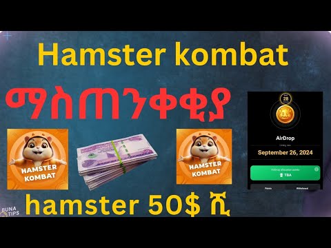 Hamster kombat Airdrop Date | Hamster listing day