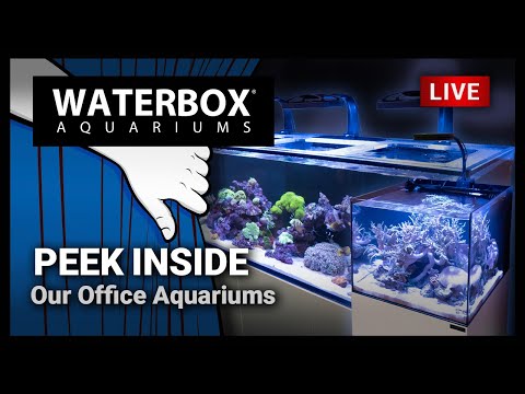 Episode 154: Tank-check! Open Q&A while we show you the aquariums at the Waterbox headquarters.