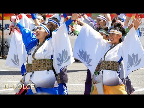 #10 《長南紅古蓮》木更津舞尊  (2018/5/5) #よさこい