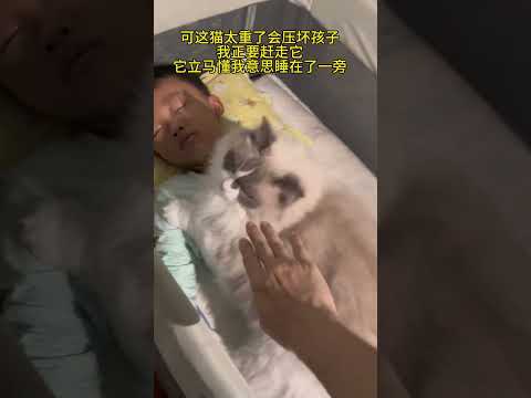 猫咪又偷跑来和孩子睡觉了… #猫和孩子