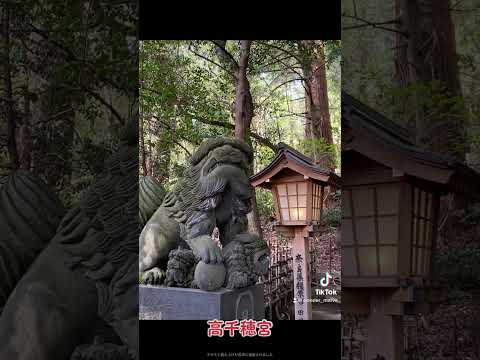 ⛩この神社動画に辿り着いた方もう大丈夫です。幸運へと導いて頂けます。