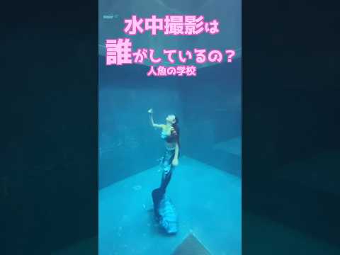 🧜‍♀️【質問＆解答】水中でだれが動画を撮影してるの？#mermaid #マーメイド #人魚