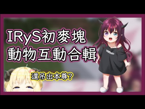 【IRyS】Minecraft初體驗！IRyS的各種模仿動物叫聲合輯