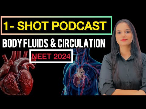 Body Fluids and Circulation Class 11 One Shot | Quick Revision Podcast #neet #class11biology