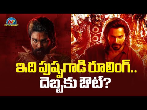 Varun Dhawan's Baby John Movie Worldwide Collection ? | Baby John vs Pushpa 2 | Allu Arjun | NTV ENT