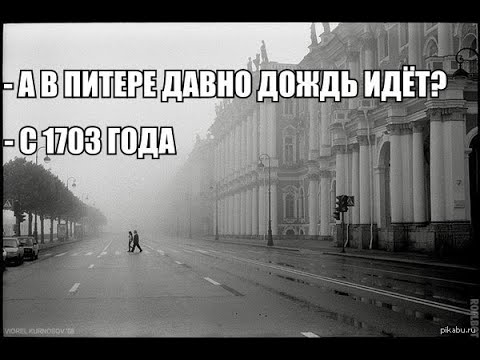 В Питере дождь...