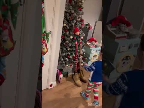 ELF ON THE SHELF DAY 22