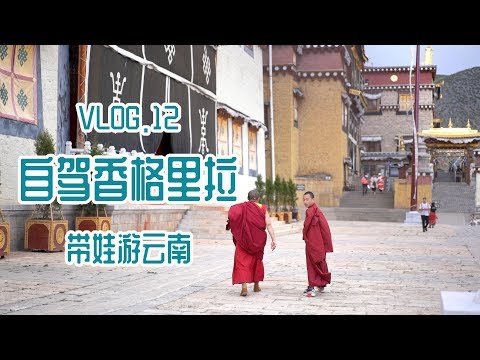 1家3口自驾游香格里拉，景色超美，就是住的五星级酒店装修阴森，有点吓人