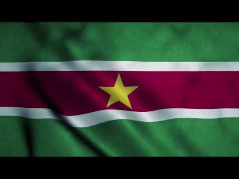 [10 Hours] Suriname Flag Waving - Video & Audio - Waving Flags