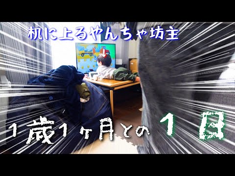 【新米ママの日常vlog】やんちゃが加速する1歳1ヶ月との1日 | ワンオペ | 離乳食完了期 | 西松屋購入品 | アラサー主婦【専業主婦】