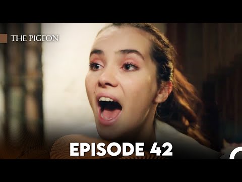 The Pigeon Episode 42 (FULL HD)