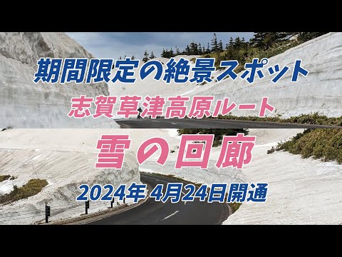 ‘’雪の回廊 ‘’2023年 春  志賀草津高原ルート！期間限定の絶景スポット  2024年4月24日開通！