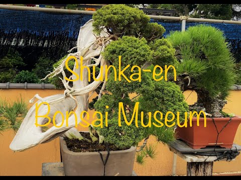 Shunka-en Bonsai Museum, by Kunio Kobayashi. (Part 1)