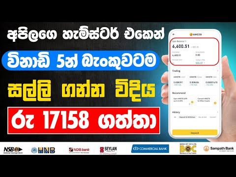 Hamster coin bank withdraw sinhala | hamster coin sell sinhala | hamster airdrop withdraw sinhala