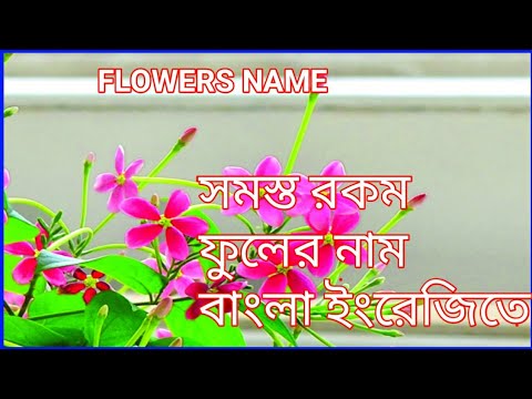 ফুলের নাম বাংলা ও ইংরেজিতে | flowers name in Bengali and English | Bengali flowers name | flower