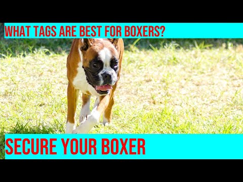 Choose the Right Pet ID Tags for Your Boxer: A Guide