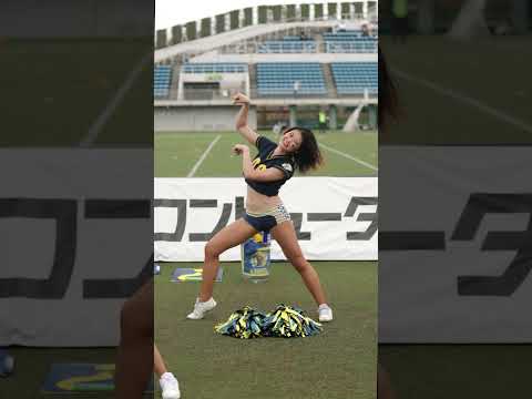 2024/09 All Mitsubishi Lions Cheerleaders #cheerleader