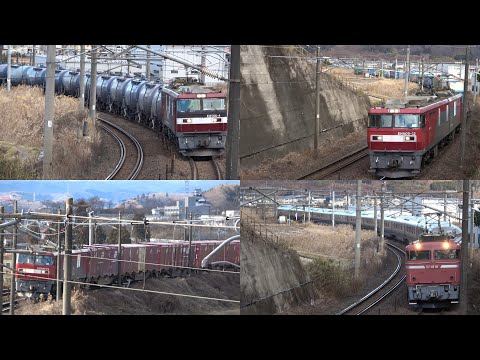 12/28/2024 Japan Railways Tohoku Line: Freight Trains & Cassiopeia in Shirakawa