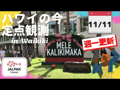 【ハワイの今】ワイキキ定点観測  2024年11月11日