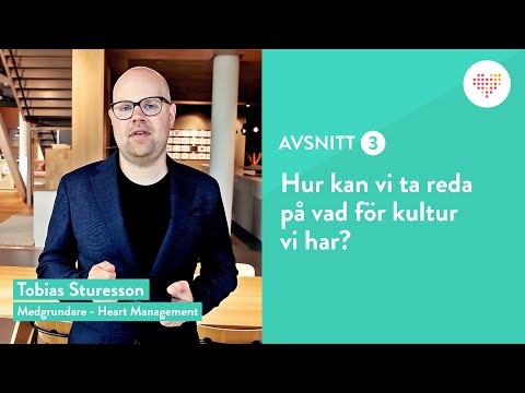 Hur kan vi ta reda på vad för kultur vi har? (Avsnitt 3)