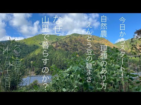 ひっそり自給生活記、はじめます　Japan countryside vlog