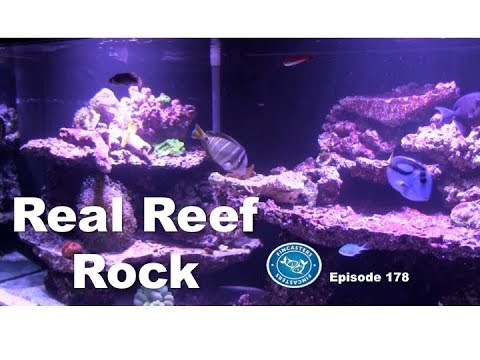 Real Reef Rock Part 3 of the Fincasters 180 build series. Fincasters Episode 178