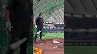 坂本勇人×長野久義 連続ホームラン #shorts