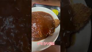 岡山グルメ　名物のデミカツ丼　[猫島巡り2024お盆休み]