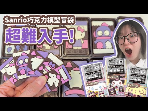 【開箱】超稀有非賣品！三麗鷗還原度爆表的縮尺巧克力吊飾！整箱開箱，全套完美收集！【NyoNyoTV】