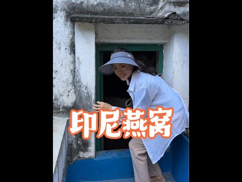 我们平时吃的燕窝到底是怎么来的呢？#千万生活dou来拍