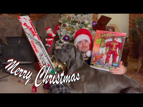 A Great Dane Christmas