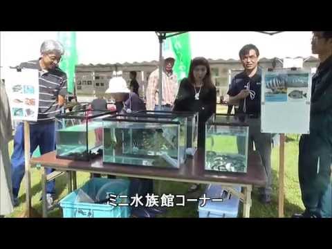 水産総合研究所公開デー　平成25年9月　WS08【水産総合研究所】