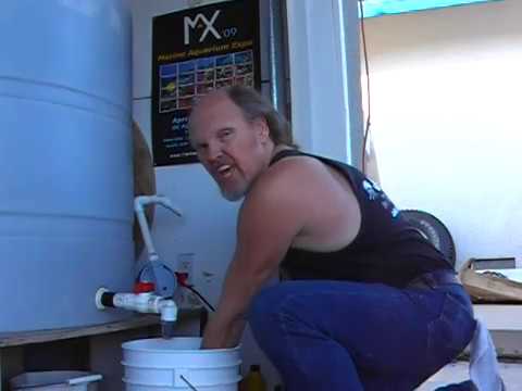 Jellyfish Breeding Tank, P&E Tank, LA Fishguys, Episode 55, Part 1