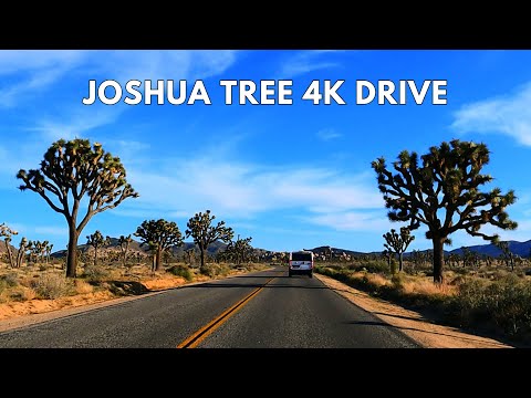 Joshua Tree National Park 4K Scenic Drive | California Drive Through