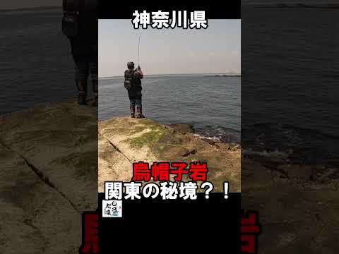 湘南沖磯のエボシ岩釣行を振り返ってみると見えて来たこと#4 #釣り #ティップラン