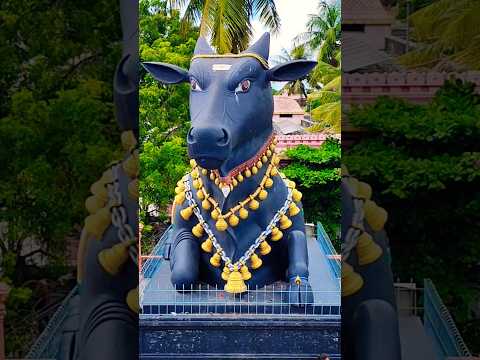 ద్వారపూడి Temples tour😍 (part-2) #dwarapudi #nandhishwarudu🙏 #templetour #ytshorts