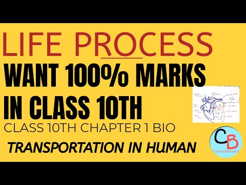 Life Process class 10th cbse board||part4: transportation||