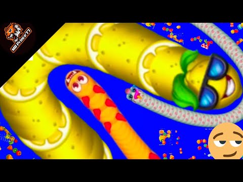 🐍worm Zone Fastest Gameplay / Worm Zone Megic Gameplay 🐍