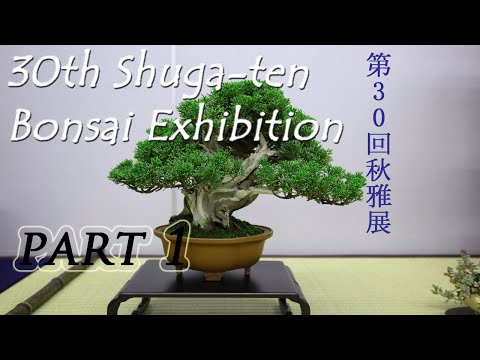 BONSAI - 30th SHUGATEN Shohin bonsai Fair 2022 - 30回秋雅展令和4年 小品盆栽フェア  (PART 1)