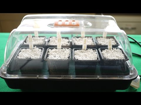 How To Use A Heated Propagator