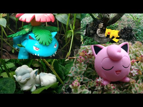 Pokemon Toy Photograph #2 | figure  | nature