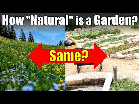 Can Gardens Work Like Natural Systems?