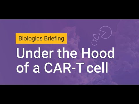 Biologics Briefing TCK  Segment Two : Under the Hood of a CAR-T Cell