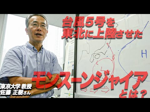 “台風”ってなに？東大教授に聞いてみた！