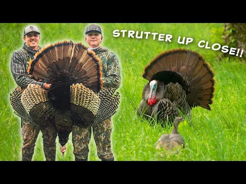 HUNDREDS of GOBBLES Off The Roost!! Turkey Hunting Tennessee (Insane Footage)