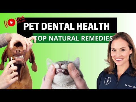 Natural Remedies for Bad Breath in Dogs & Cats